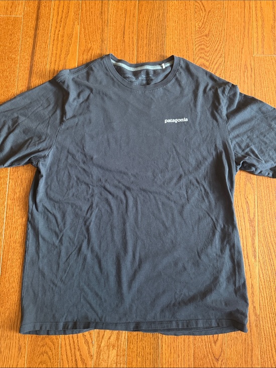 Patagonia Other - Patagonia Short Sleeve Crew T-Shirt in Grey with White Logo